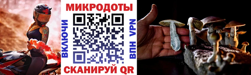 Псилоцибиновые грибы ЛСД  Наволоки 